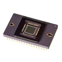 KAI-04050-FBA-JB-B2-